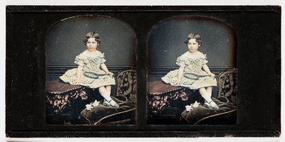 A Young Girl, c.1855 by Thomas Richard Williams